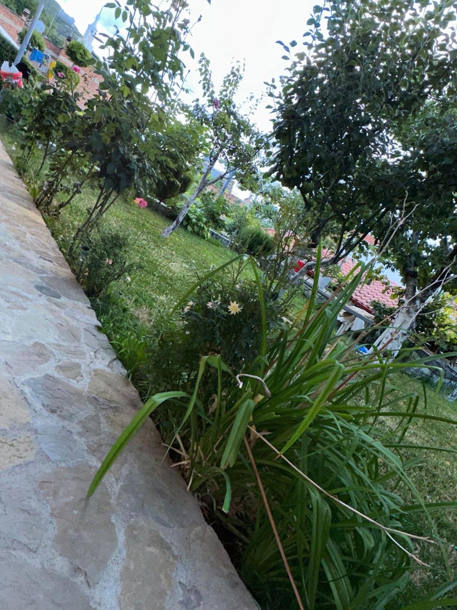 Gardenhouse Villa Memlishte Екстериор снимка