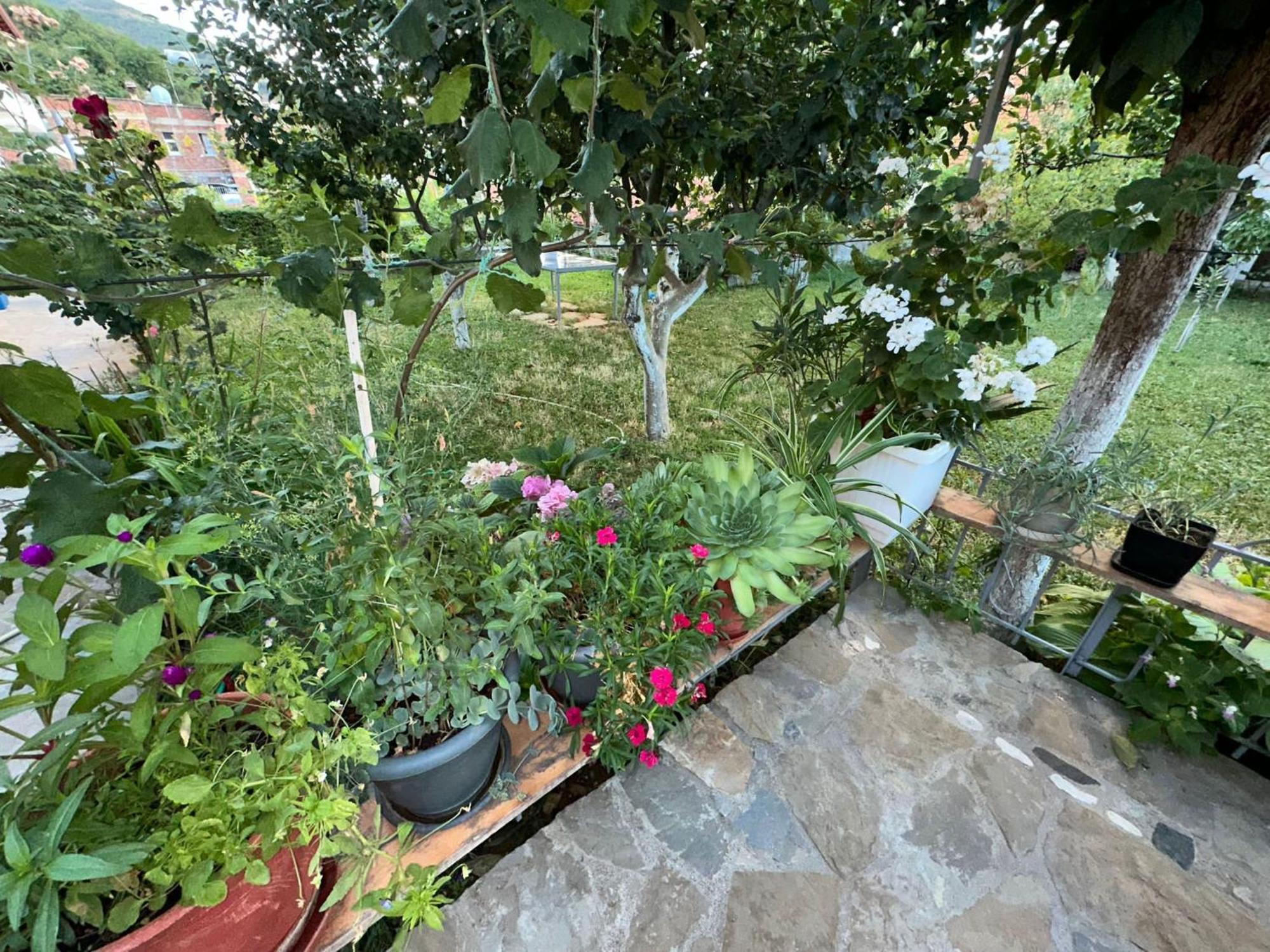 Gardenhouse Villa Memlishte Екстериор снимка
